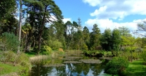 Cork Wildlife Park